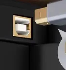 Câble d'imprimante USB C vers USB B 2.0