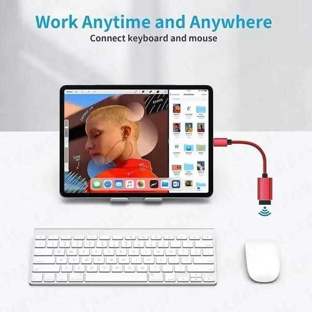 C vers USB OTG câble adaptateur USB Type C mâle