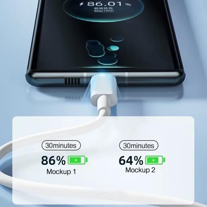 Câble de charge ultra-long de type C