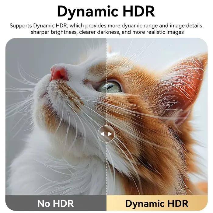 Câble USB-C vers DisplayPort 1.4 8K @ 60Hz 4K @ 144Hz DP bidirectionnel