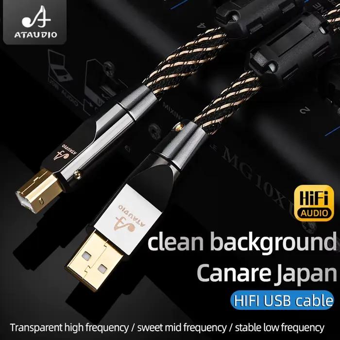 Câble USB OTG HIFI USB Type A vers B