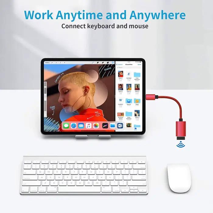 Câble adaptateur USB OTG