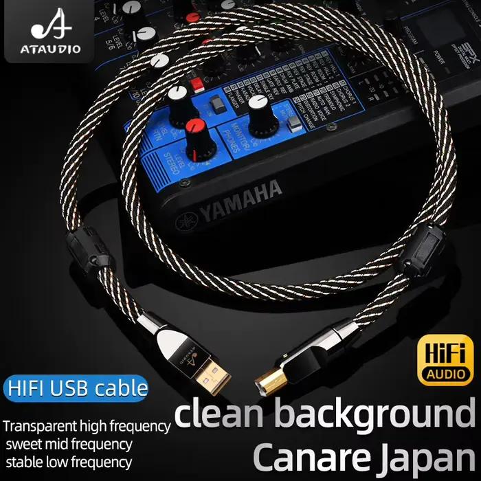 Câble USB OTG HIFI USB Type A vers B
