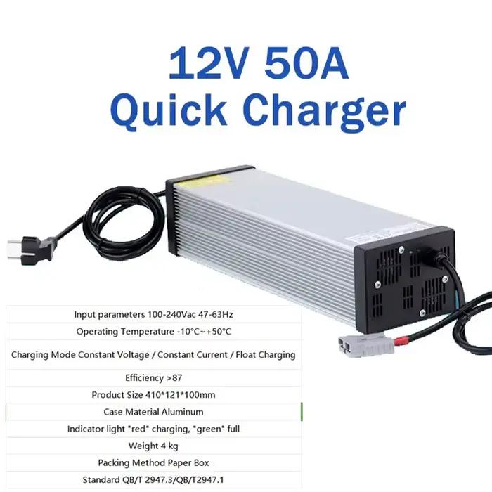 Chargeur de batterie au Lithium Lron Phosphate 12V 24V
