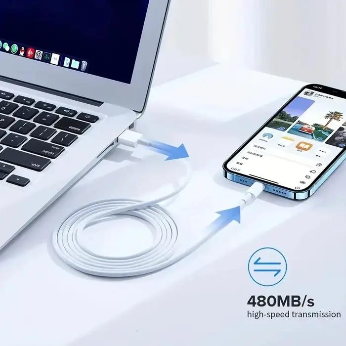 Câble de chargement USB pour Apple iPhone 12 11 PRO XS MAX XR 5S SE 6S 7 8 Plus iPad Mini Air 2 3