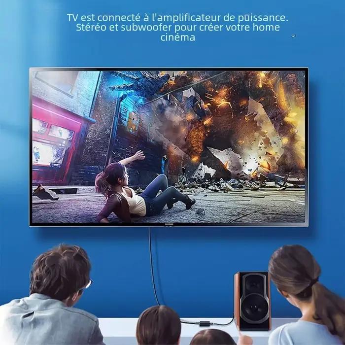 Câble audio coaxial numérique RCA vers RCA