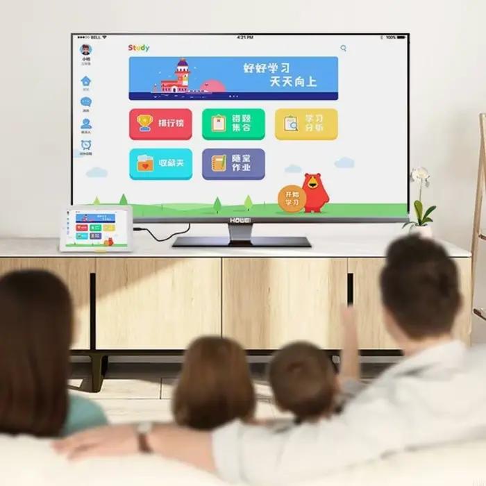 462E Type C Câble DisplayPort 4K 60Hz Plugs lecture