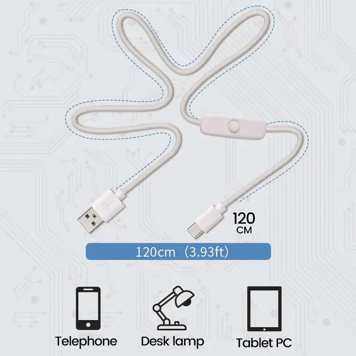 Câble de chargement USB vers Type C avec interrupteur